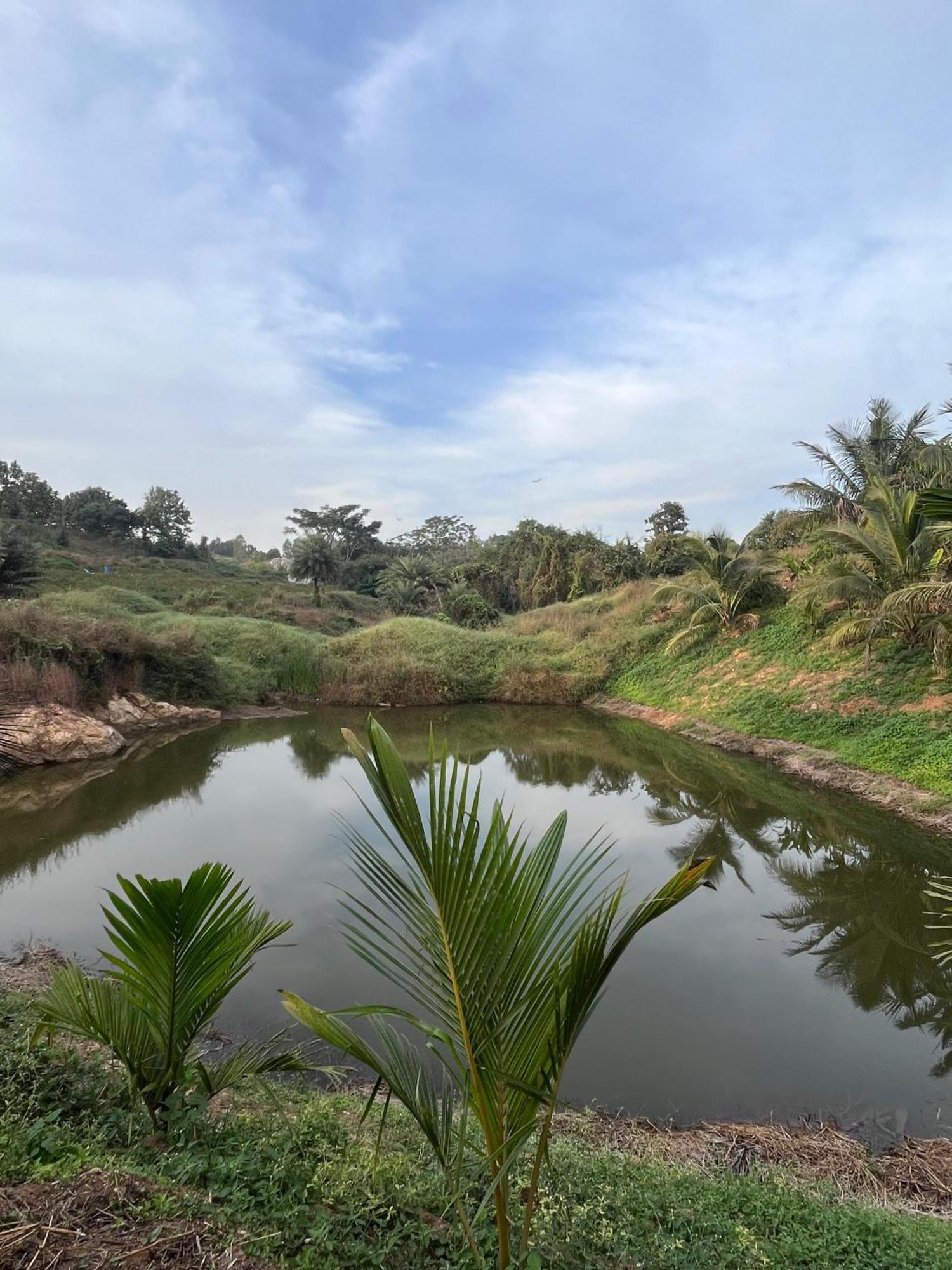 Gandhadagudi Nature Retreat Bangalore Eksteriør billede